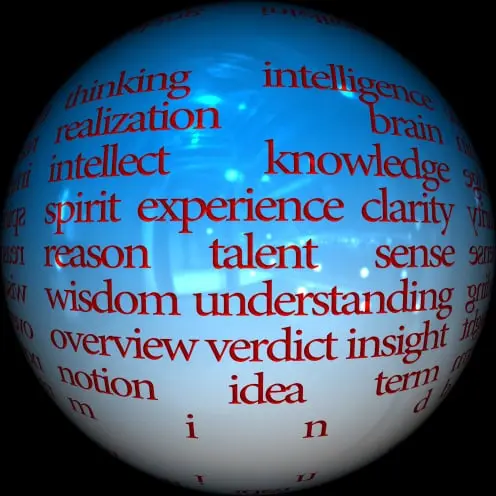 The Intellect's Dialogue | Consult You